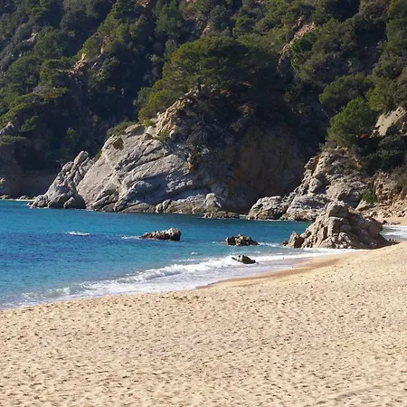 Holiday home Con Jardin Y Piscina Tossa de Mar