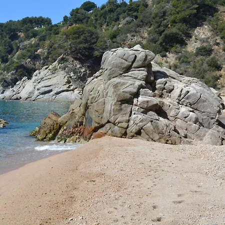 Con Jardin Y Piscina * Tossa de Mar